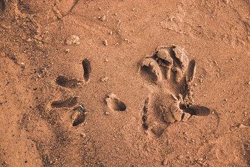 something interesting happened here