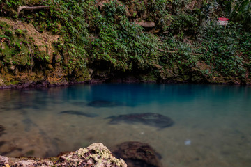 The inland Blue Hole of Belize at the St. Herman’s Blue Hole National Park.