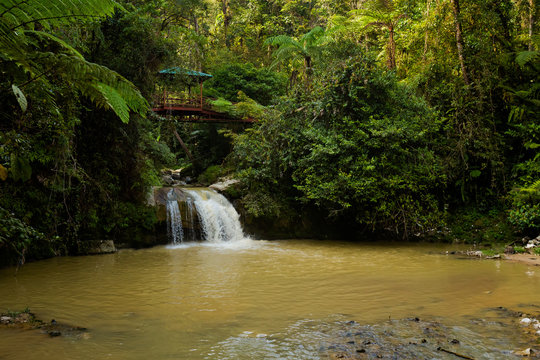 Cameron Highlands Parit Falls trekking