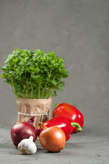 Fresh Vegetables. Greek Basil In Pot. Pepper, Onion, Garlic.