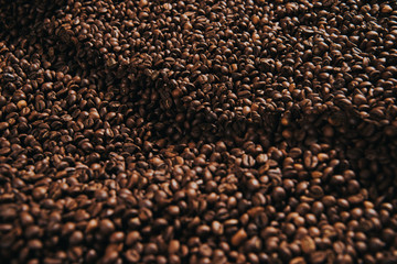 Close-up view of coffee beans roasted in professional machine