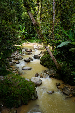 Cameron Highlands Parit Falls trekking