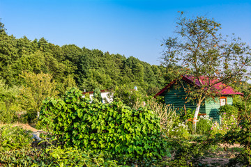 Fototapeta na wymiar Summer house in the garden, cottage in countryside in green scenery