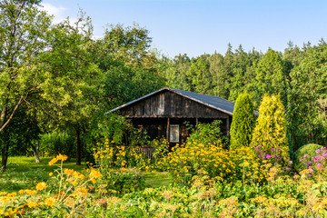 Obraz premium Wooden house in the summer garden with flowers on backyard. Rural cottage in countryside.