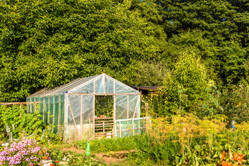 Eco vegetable garden with greenhouse, organic farming concept