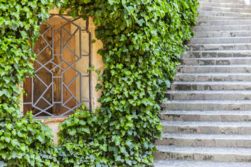 Garden stone stair and metal window gate.