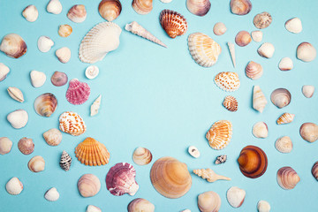 Background with frame of seashells on blue. Place for text.