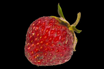 strawberry isolated on a black background
