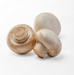 champignon mushroom on white background.
