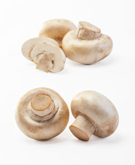 champignon mushroom on white background.