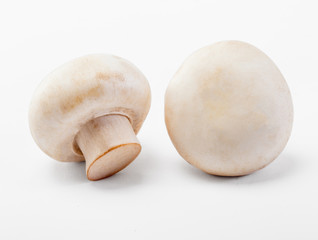 champignon mushroom on white background.