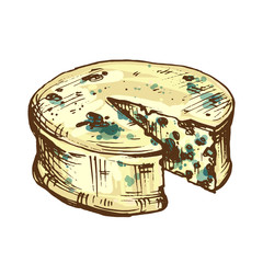 Vintage sketch style ink illustration of cheese