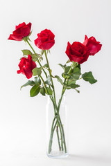 red roses in glass vase isolated on white background