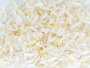 rice isolated on white background