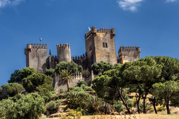 Gardens inside access to homage tower, It is a fortitude of Moslem origin, it was a Roman fort and the current building has definitely origin Berber, Almodovar of the Rio, Spain