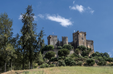 Fototapeta na wymiar Castle of Almodovar del Rio, It is a fortitude of Moslem origin, it was a Roman fort and the current building has definitely origin Berber, Almodovar of the Rio, Spain