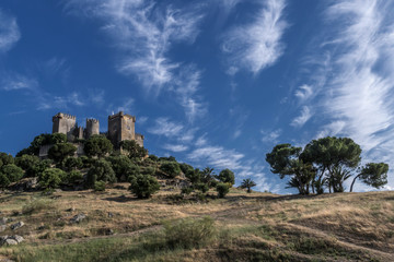 Fototapeta na wymiar Castle of Almodovar del Rio, It is a fortitude of Moslem origin, it was a Roman fort and the current building has definitely origin Berber, take in Almodovar of the Rio, Spain