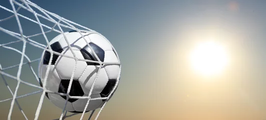 Abwaschbare Fototapete Sport Ball im Netz