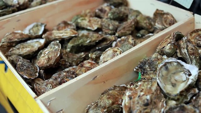 Variety of fresh oysters in wooden boxes on the shellfish counter at the fish market in Normandy, France. Seafood, typical food in coastal cities, fishing industry concept