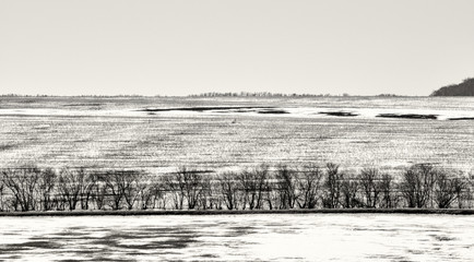 Spring field.Snow is melting.Bad weather.