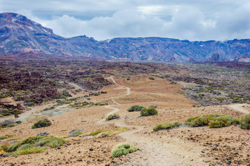 Volcanic landscape around Teide, Tenerife