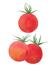 illustration of three tomatoes