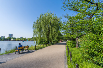 新緑の上野公園 不忍池の遊歩道
