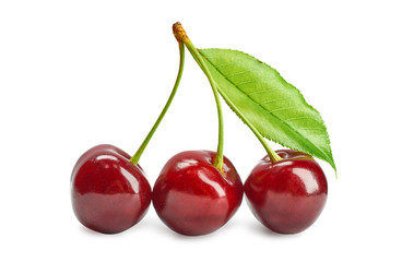 ripe juicy cherry one berry on a branch on a white background