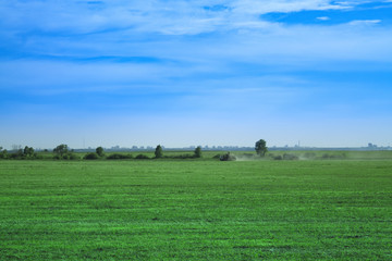 harvesters on green field in summer
