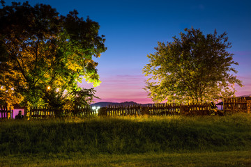 two trees on the background of a colorful sunset