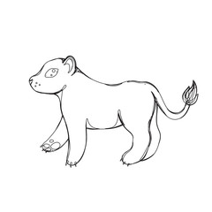Fototapeta premium lioness in continious line graphic style