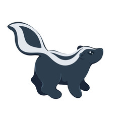 Vector cute baby skunk