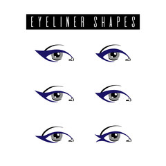 Eyeliner shapes. Various types with blue eyeliner on womens eyes. Set of different vector eyeliner shapes. Cosmetic makeup. Collection of illustrations with captions. Makeup type info graphic - 209341641