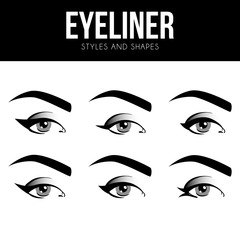 Eyeliner shapes. Various types with blue eyeliner on womens eyes. Set of different vector eyeliner shapes. Cosmetic makeup. Collection of illustrations with captions. Makeup type info graphic - 209341648