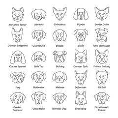 Dogs breeds linear icons set