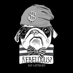 Portrait of a funny Pug in a Bandit mask, knitted casual Cap, striped black and white t-shirt with bow tie. Vector illustration.