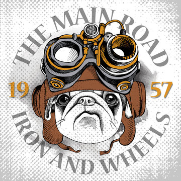Poster with image of dog Pug portrait in Steampunk helmet. Vector illustration.