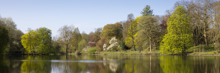 Fototapeta na wymiar Frühlingslandschaft im Rombergpark, Dortmund, Nordrhein-Westfalen, Deutschland