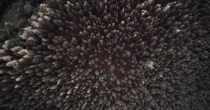Volando sobre Deva