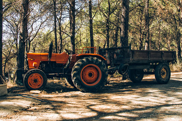 Turkish Agriculture tractor