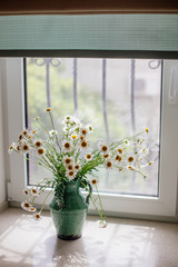 White daisies in a vase.