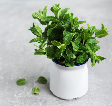 Fresh mint in a vase