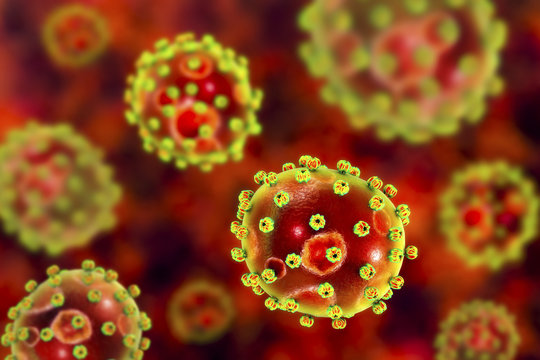 Lassa fever viruses, 3D illustration. RNA-viruses from Arenaviridae family, they have inner inclusions and outer glycoprotein spikes, the causative agent of Lassa hemorrhagic fever