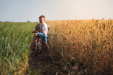 The boy is riding a bicycle across the field with wheat yellow and green. Sunny weather in a solitary place. © Denys