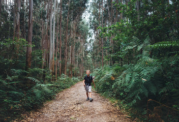 Fototapeta premium Little boy tourist backpacker walks through forest with giant trees