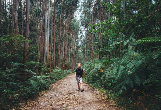 Little boy tourist backpacker walks through forest with giant trees