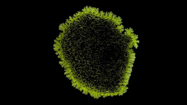 Drop drying with crystals growth. Potassium chromate. Time lapse of crystallization process under microscope. Separated on pure black background, contains alpha channel.