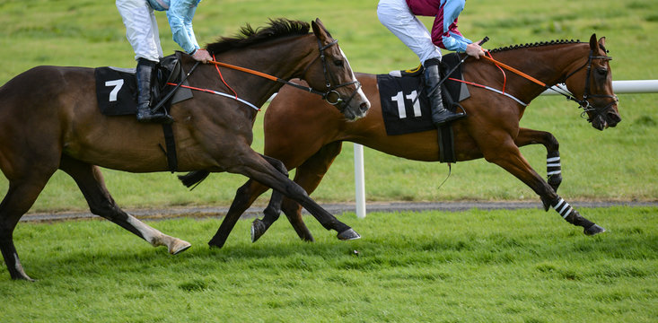 horses racing on the track