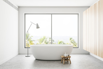 White panoramic bathroom interior