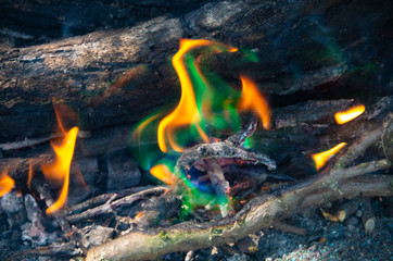 Цветное пламя